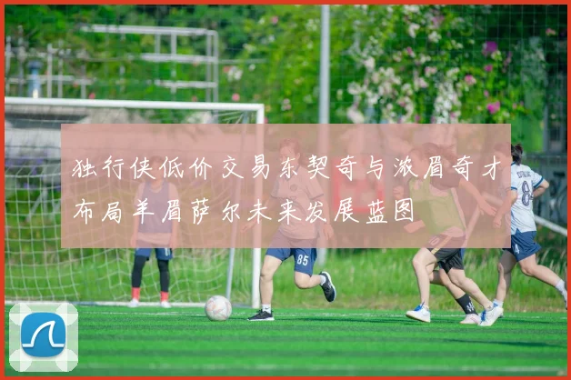 独行侠低价交易东契奇与浓眉奇才布局羊眉萨尔未来发展蓝图