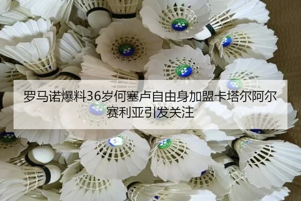罗马诺爆料36岁何塞卢自由身加盟卡塔尔阿尔赛利亚引发关注 - IMSports